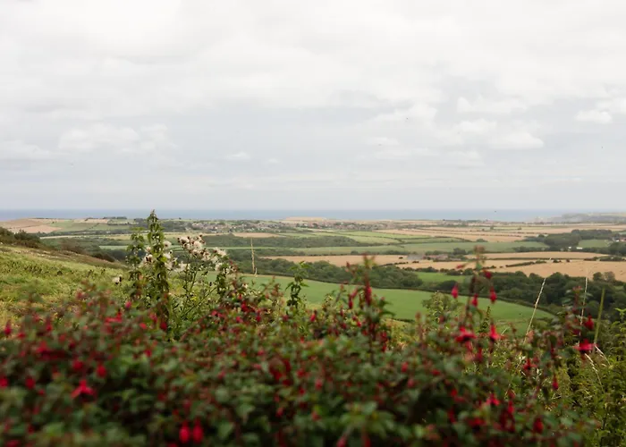 Semesterbostad Sebright Cottage, Borrowby Farm Staithes